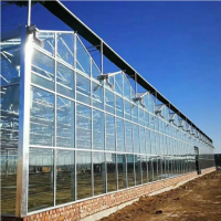 玻璃连栋温室建设