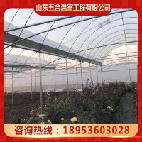 薄膜连栋温室