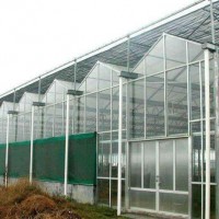 玻璃温室生态餐厅