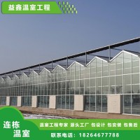 薄膜大棚建设