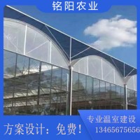 連棟大棚建設(shè)