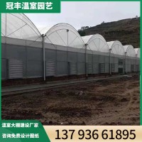 連棟薄膜溫室建設(shè)