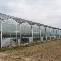 日光温室大棚建设