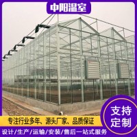 文洛式玻璃温室大棚建设