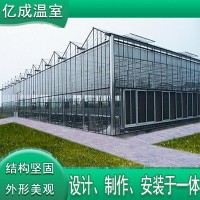 现代高效农业温室