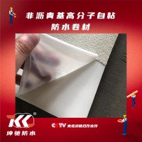 非沥青基高分子防水材料