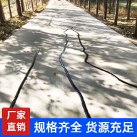 道路密封胶