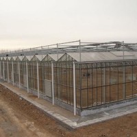 新型玻璃温室