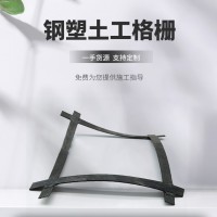 钢塑土工格栅生产厂